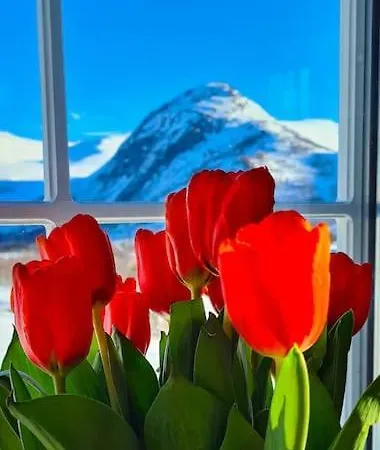 Сasa de vacaciones Among The Pearls Of Norway *
