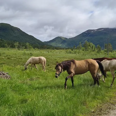 Сasa de vacaciones Among The Pearls Of Norway