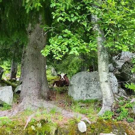 Among The Pearls Of Norway בית נופש *